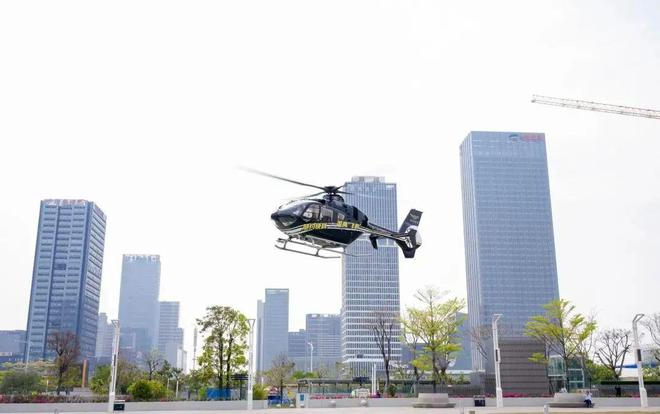 的”了但扒出价格惊呆我…新葡京博彩番禺能打“飞(图7)
