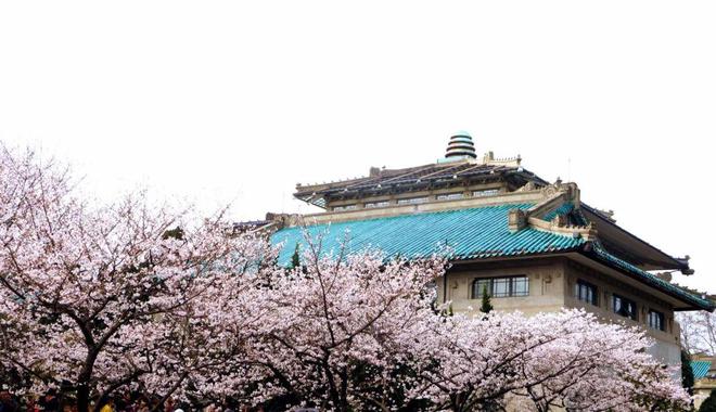 观黄鹤楼、湖北省博物馆春假爆款武汉名校夏令营开启报名新葡京博彩狮子精品夏令营 探访武汉大学、华中科大参(图20)