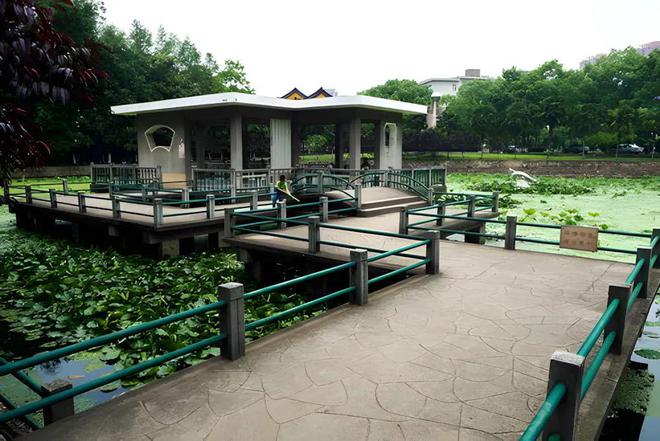 观黄鹤楼、湖北省博物馆春假爆款武汉名校夏令营开启报名新葡京博彩狮子精品夏令营 探访武汉大学、华中科大参(图14)