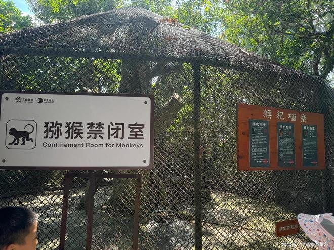 旅行社三亚靠谱旅行社新葡京最新海南靠谱(图5)