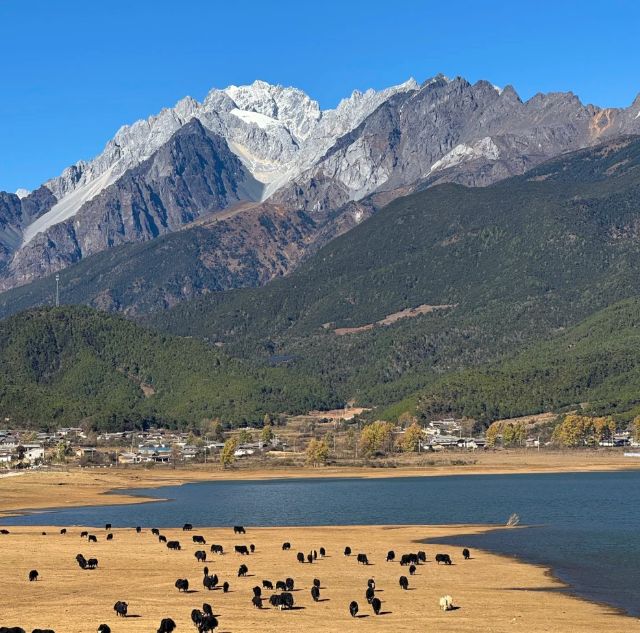 社前十：远胜游领衔打造极致私享旅程澳门新葡京2025云南高端定制旅行(图2)